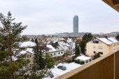 Fernblick - 