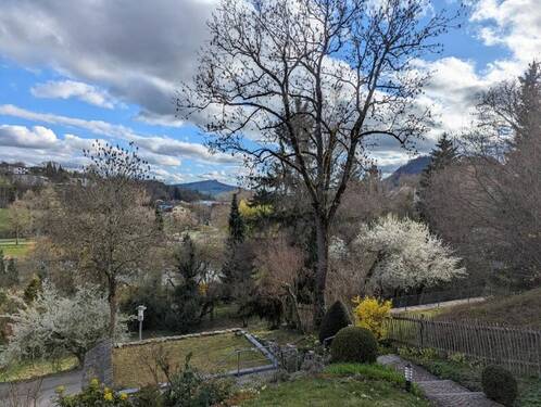 Fernblick - 