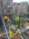 Blick vom Balkon - 
