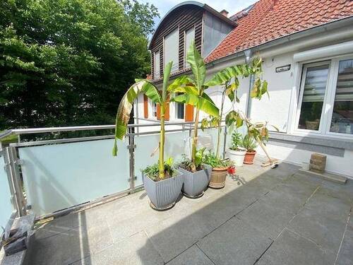 Mega Sonnenterrasse - 