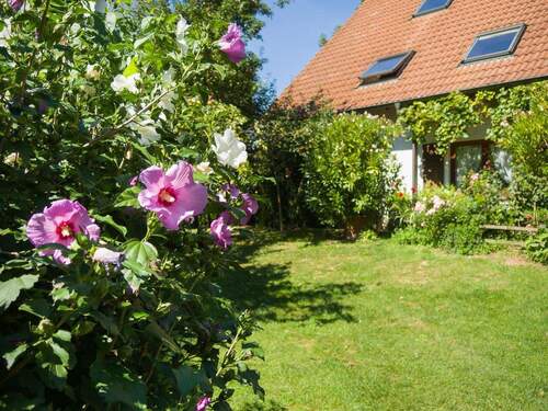 Haus 1 und Garten - 