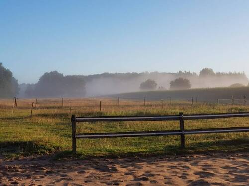 Frühnebel im Herbst - 