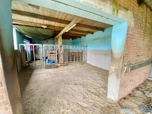 Blick in den Stall - 