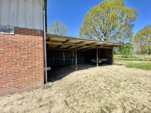 Paddock - 