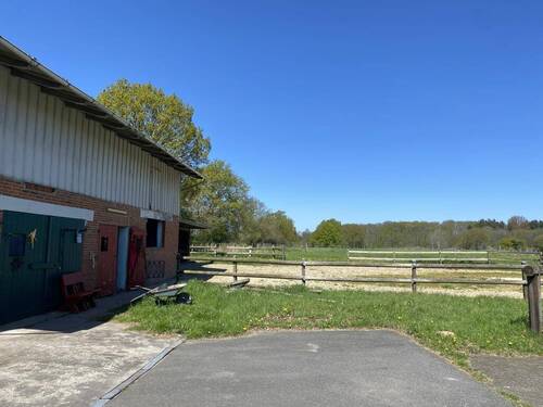 Stall und Weitblick - 