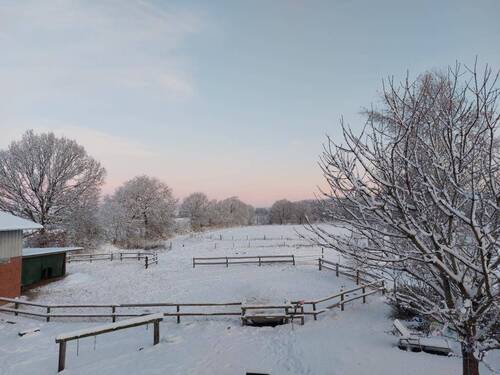 Reitplatz bei Schnee - 