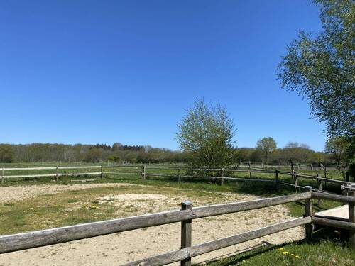 Paddock - 