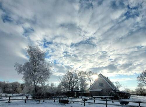 Winter - 
