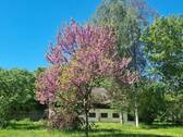 Park - 