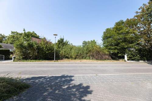 Grundstück (2).jpg - Frankenthal: Attraktives Grundstück mit optimaler Lage und hervorragender Infrastruktur