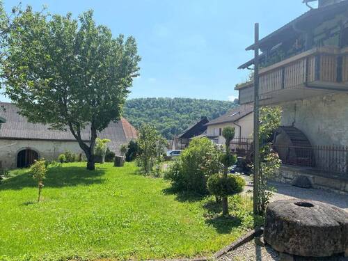 Schöne Rasenfläche bzw. für Beeren-/Obst-/Gemüse-/Blumengarten - 