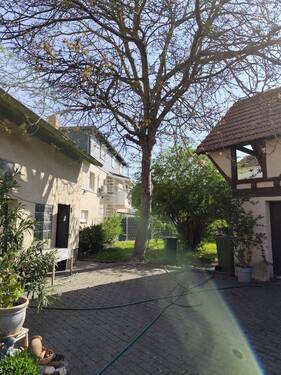 IMG-20250414-WA0047.jpg - 