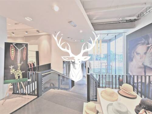 Titelbild.jpg - Einzigartiges Geschäftshaus im Herzen der Innenstadt Bad Säckingens zu verkaufen