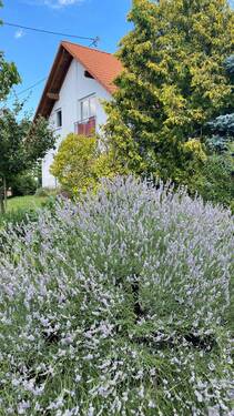 Bild 7 - 
