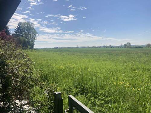 Blick ins Grüne, Südost - 