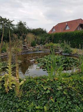 Bild 2 - 5 Zimmer Bungalow zum Kaufen in Königslutter