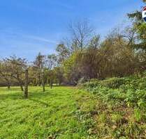 Großes Grundstück in traumhafter Lage von Ballweiler (Wecklingen) - Natur & jede Menge Möglichkeiten - Blieskastel / Ballweiler