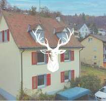 Charmantes 3-Familienhaus in Top Lage von Waldshut zu verkaufen - Waldshut-Tiengen
