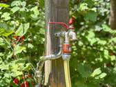 Brunnen - 