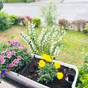 Balkon Obergeschoss - 