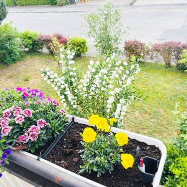 Balkon Obergeschoss - 