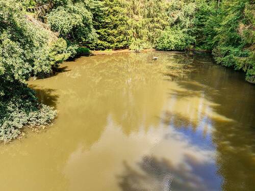 Impressionen - 