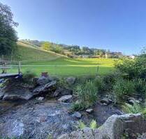 Ein- bis Zweifamilienhaus im Grünen - Malsburg