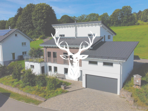 Titelbild - Hochwertiges und modernes Einfamilienhaus mit nachhaltiger Gebäudetechnik in Dachsberg zu verkaufen