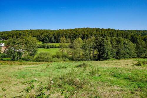 Wald und Wiesen - 