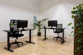 Co-Working Arbeitsplatz - 