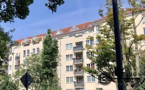 Rückansicht - 
