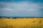Wohnumfeld - 