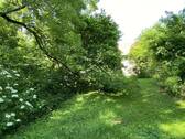 Blick in den weitläufigen Garten - 