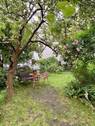 Garten - Atbauwohnung in Nordend mit Gartennutzung - provisionsfrei
