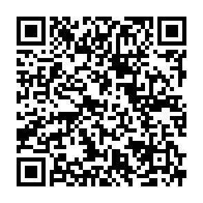QR-Code - 