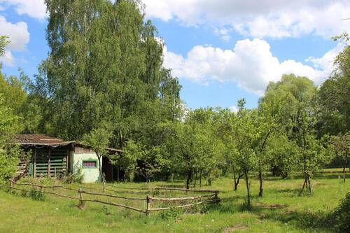 Unendliche Weiten - Obstbaumteil - 