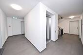 7514-lang2#Aufzug im Treppenhaus - 