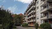 Ansicht - 3 Zimmer Etagenwohnung in Dresden