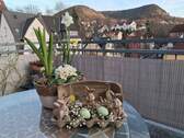 Balkon mit Blick auf die Kernberge - 