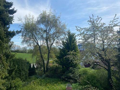 Ausblick vom Balkon - 