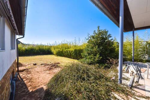 Blick in den Garten - 