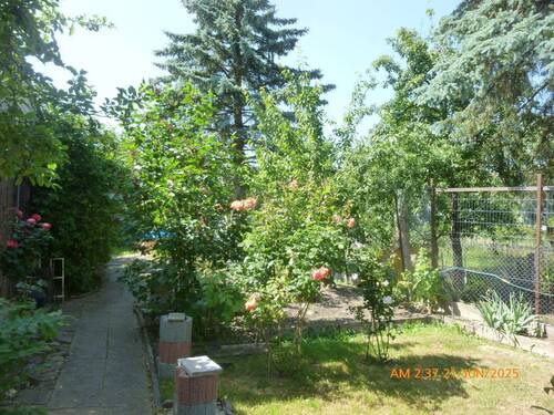 Garten aussen - 