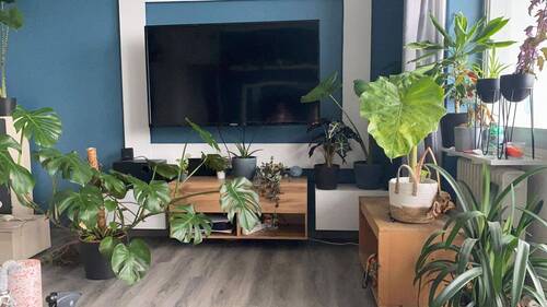 Wohnzimmer - 2 Zimmer Etagenwohnung zum Kaufen in Buseck