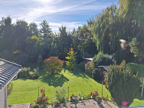 Ausblick Grundstück - 