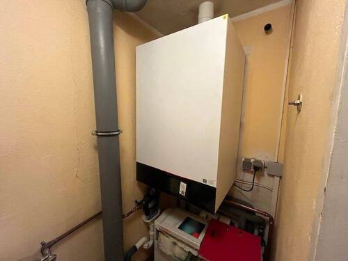 Bild11 - 
