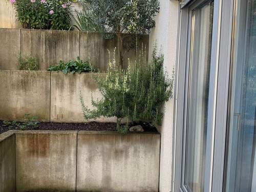 Terrasse UG - 