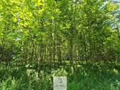 Waldverkauf-Ravensburg_15.jpg - 
