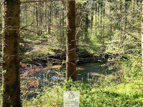Waldverkauf-Ravensburg_22.jpg - Vielfältige Waldfläche mit naturnahen Beständen im Tal der Wolfegger Ach