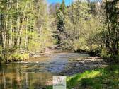 Waldverkauf-Ravensburg_24.jpg - 