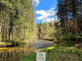 Waldverkauf-Ravensburg_25.jpg - 